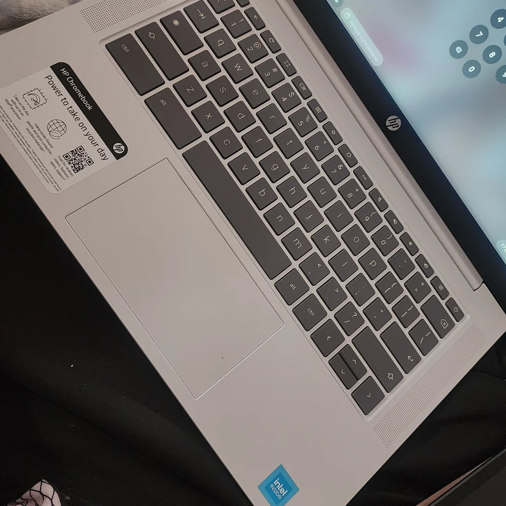 HP Chromebook - Silver